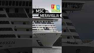 I Wish I Knew This Before I Cruised on MSC Meraviglia. #holiday #cruise #travel
