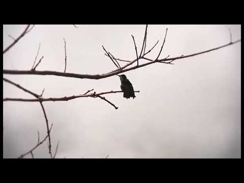 Os Pontos Turísticos de Vila Bela-MT