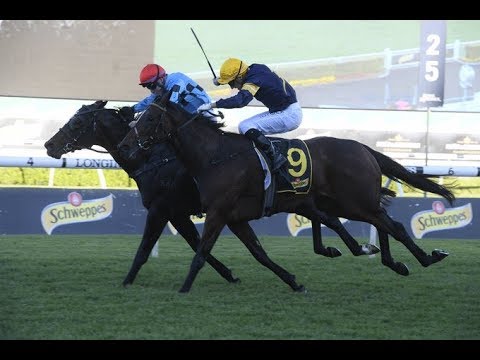 2020 ATC ALL AGED STAKES