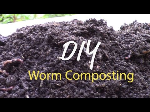 DIY Worm Composting Bin to Rehab Your Garden