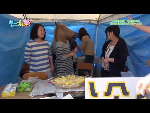 2024年11月放送分