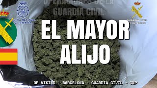 Aprehendido en Barcelona el mayor alijo de marihuana en España