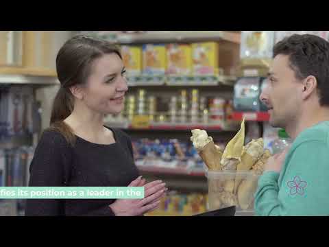 Is Purina One Dog Food the Best Choice for Your Pup? Discover the Benefits!