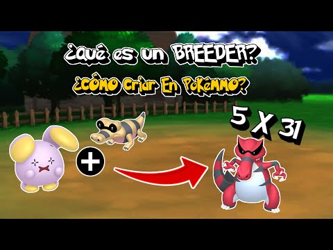 ⚡ How to Breed a 5x31 Pokémon with Nature | Breeding Guide in PokeMMO 🎃