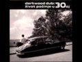 Darkwood Dub Repetitor 