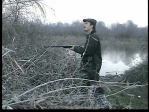Duck hunting by Verginas Kurzhaar .Video production G.Voudouris