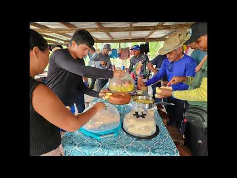 https://youtu.be/jeLGdwV3_Zw?feature=shared