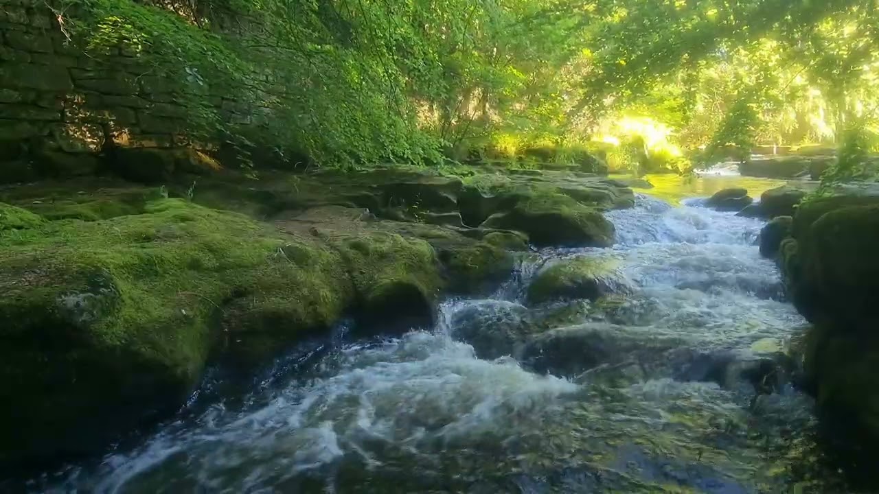 Relaxing Water Sounds