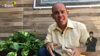 Miniatura do vídeo