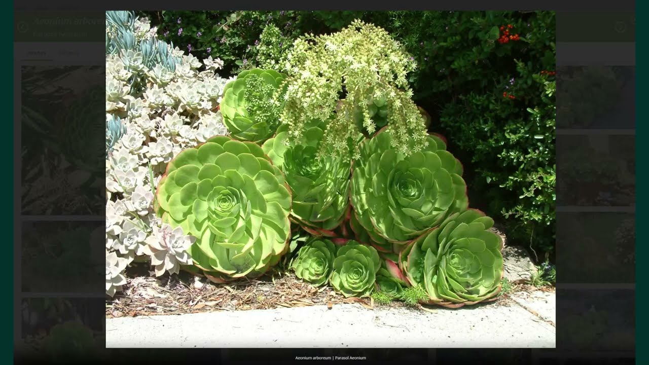 Intro to PlantMaster