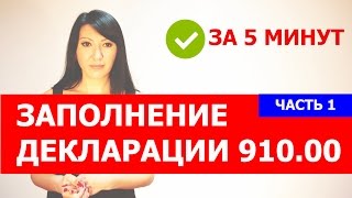 Заполнение декларации 910.00. Часть 1.
