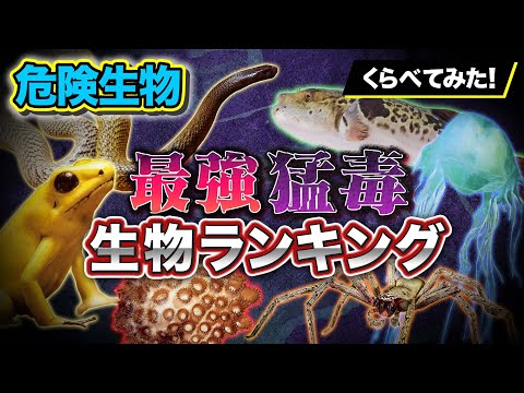 世界で最も有毒な魚