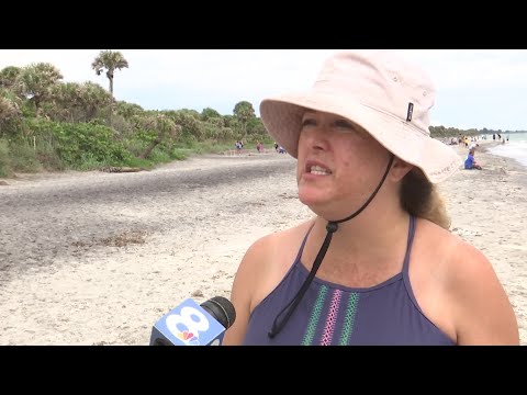 Visitors react to red tide at Caspersen Beach in Sarasota County