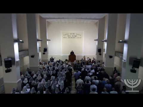 2019-08-15 Giovedì - Fr Gemelli - 1 Re cap 19 ver 13