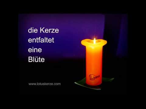 Kerzen-Faszination Lotus-Kerze