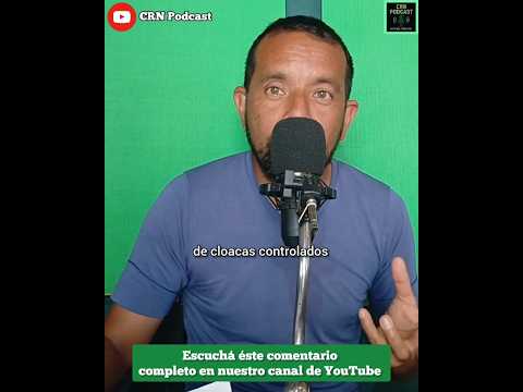 Pozos septicos,plantaciones de pino = CONTAMINACIÓN AMBIENTAL.