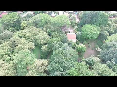 img-video