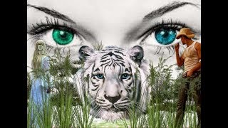 francis cabrel  &quot; animal&quot;