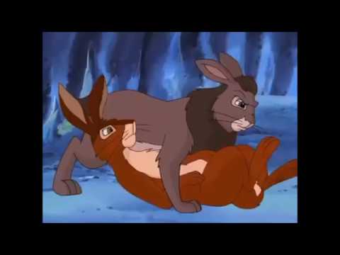 watership down - campion the hero