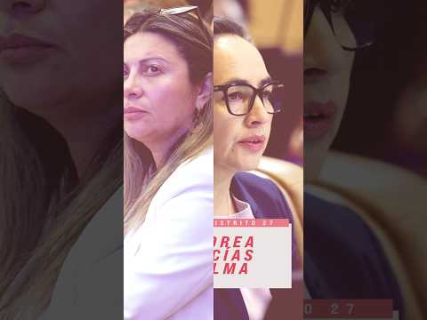 Distrito 27 - Conoce a tus representantes