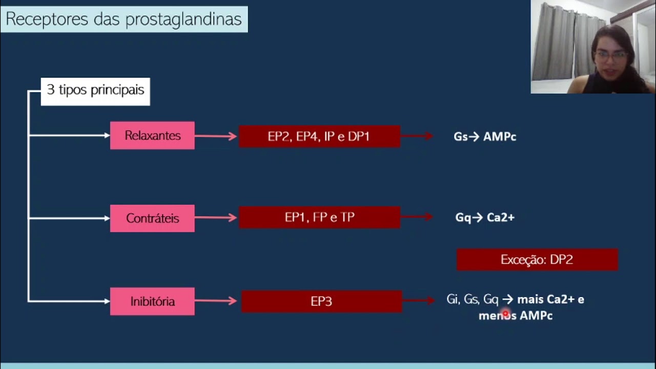 Aula 7 - Funções dos derivados do ácido araquidônico