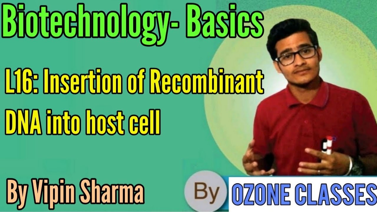 L16: Insertion of recombinant DNA into host cell/ organism by Vipin Sharma