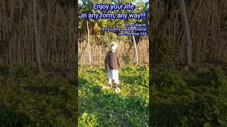 Download lagu Enjoy every moment of your life. #life #adventure #hobbies #viral #hobby #enjoy #adventurous #shorts mp3 Download lagu Enjoy every moment of your life. #life #adventure #hobbies #viral #hobby #enjoy #adventurous #shorts mp3