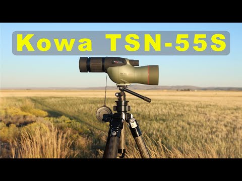 Kowa TSN-55S Testbericht: Langzeit-Feldtest und Leistung bei schwachem Licht