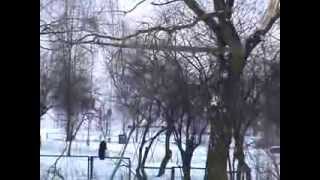 preview picture of video 'Alytus: kaip Putinuose vandentiekininkai medį pjovė'