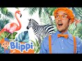 Blippi S Day In The Life Of The Animals Blippi Becomes A Zookeeper For A Day