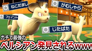 禁伝ポケモンほぼ全員に勝てる天才的ペルシアンがやばすぎるwwwwwww【ポケモンSV実況】