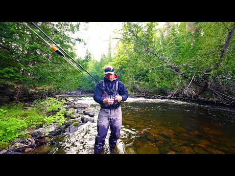 WALLEYE EVERY CAST at this REMOTE FISH SANCTUARY!