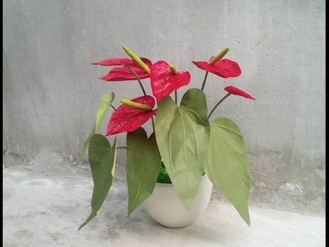 ABC TV | How To Make  Anthurium Paper Flower From Crepe Paper - Craft Tutorial