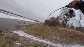 Graphiteleader finezza gofs 732ul s