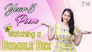 【ENGLISH YEAR 5】Poem: Watching a Bumble Bee by Wes Magee【学到】 | THERESA