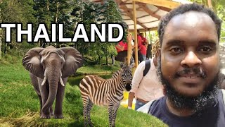 WE WANTED TO SEE EXOTIC ANIMALS || TOOK A TRIP || KIDS WERE AMAZED || KTFAMILY