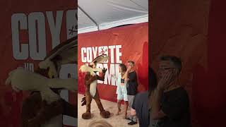 WE DID IT  Coyote Vs  Acme hits theaters tonight 