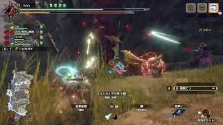 身内で適当にサンブレイク5回目