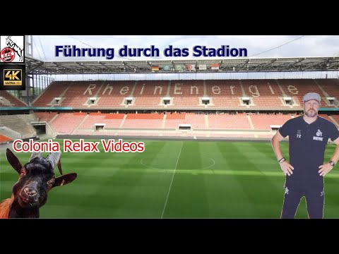 Köln / Cologne RheinEnergie Stadion Führung / Tour VIP / Umkleide / Tribüne