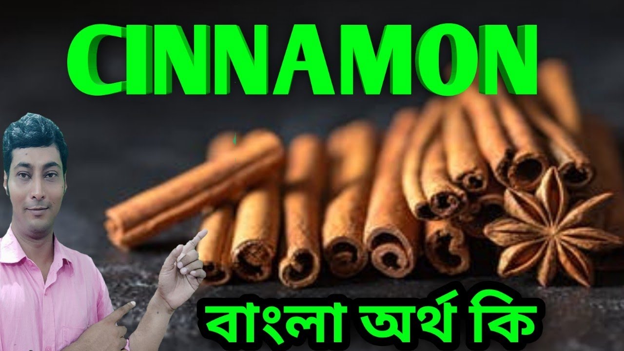 cinnamon meaning in bengali/cinnamon বাংলা অর্থ কি#cinnamonmeaninginbengali#cinnamonmeaning#cinnamon