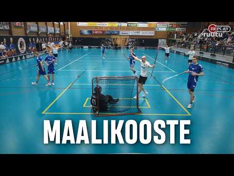 Maalikooste: Tiikerit - Nibacos (Inssi-Divari M)