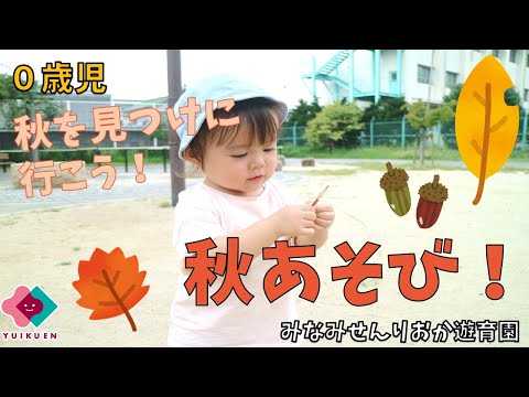 秋の庭で子供と一緒に何をしましょうか？楽しく教育的な活動を通じて職場の意識を高めてみましょう。  庭園