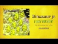 Dinosaur Jr. - "Pierce the Morning Rain" (Official Audio)