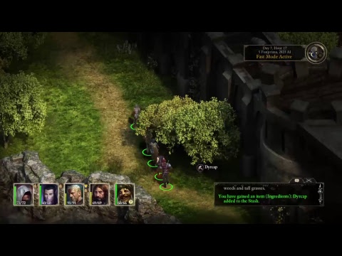Lets Play Pillars of Eternity BADLY