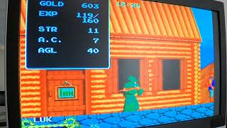 Cadash: Arcade Game Play (Actual Hardware)