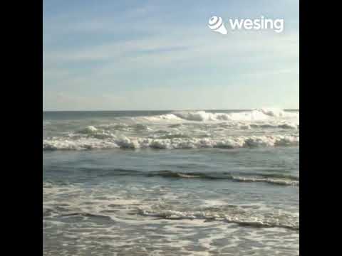 Ting Hai - 听海 - Listening to The Sea