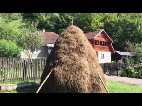 Romania September 2016 - Hunedoara