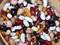 23 Heirloom Beans - What's a Cave Bean?