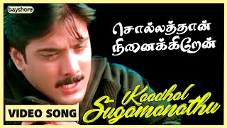 Kadhal Sugamanathu - Sollathaan Ninaikkiren Video 