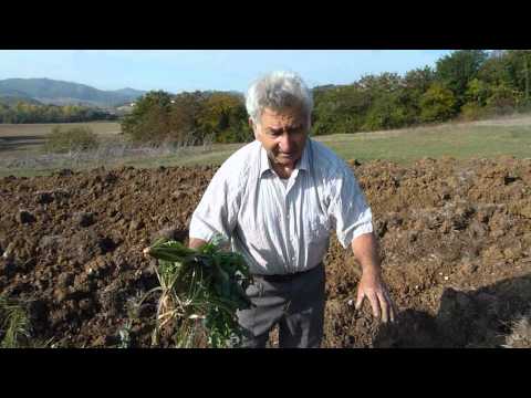 KeBio Agricoltura Naturale: Pasquale e l'Orto Sinergico